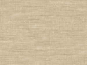 Arte Textura Canvas - 24508A