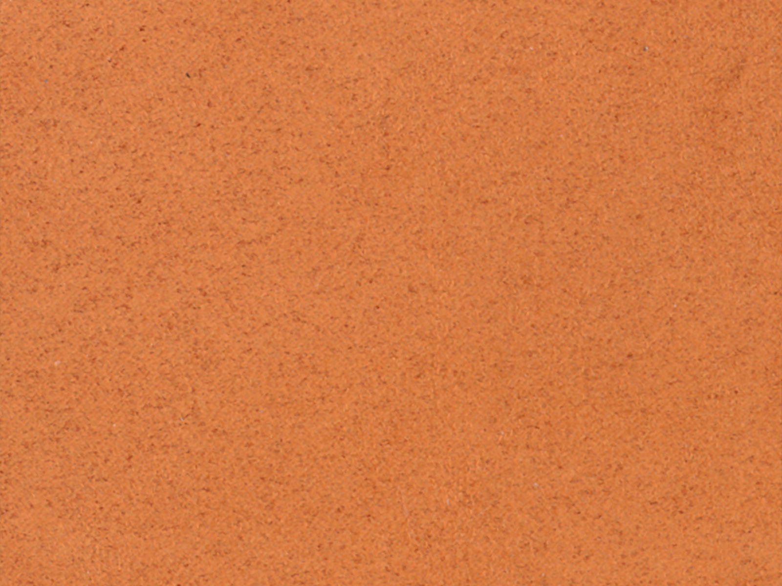 Arte Wildwalk Noble - 28510