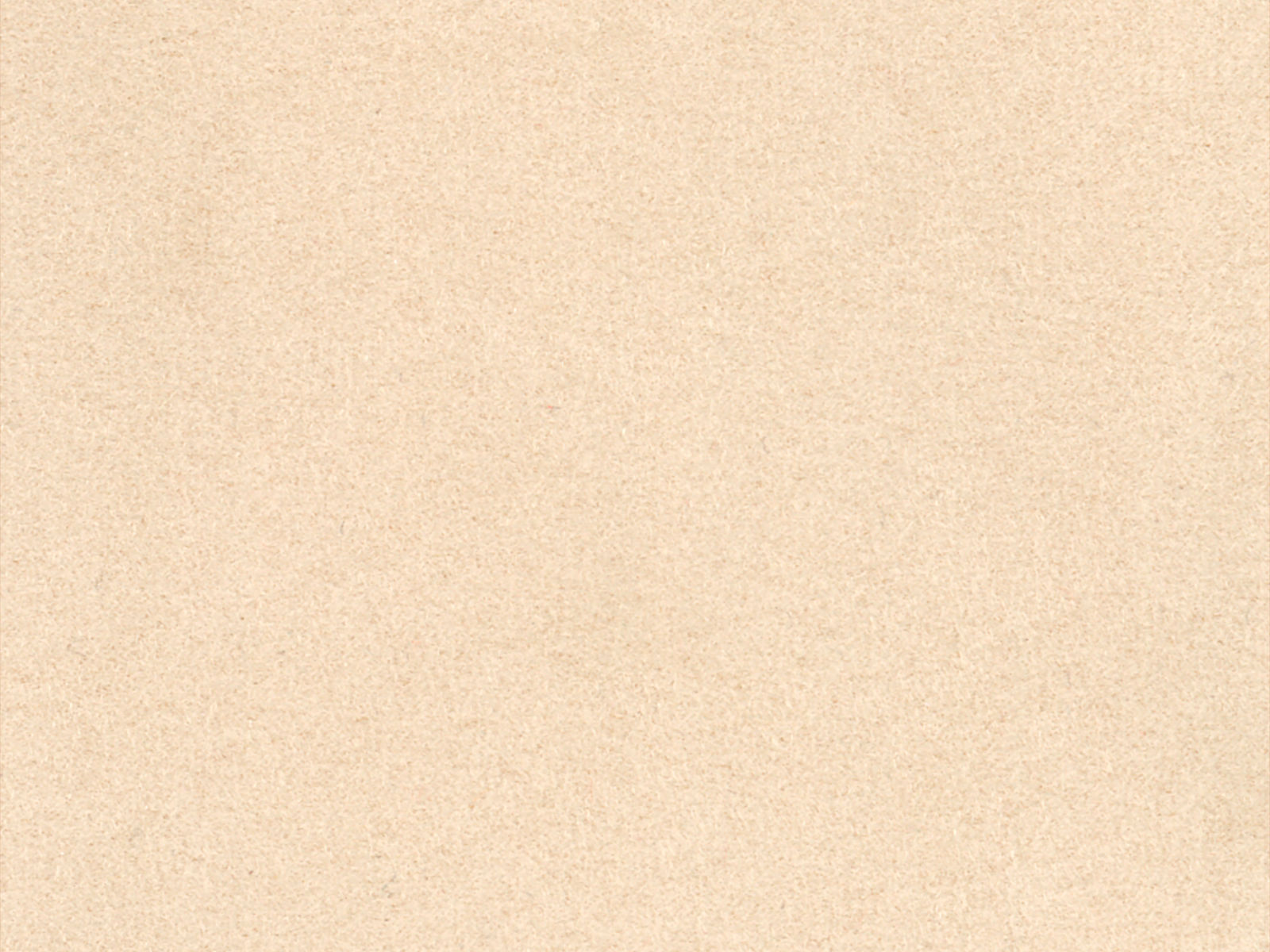 Arte Wildwalk Noble - 28511