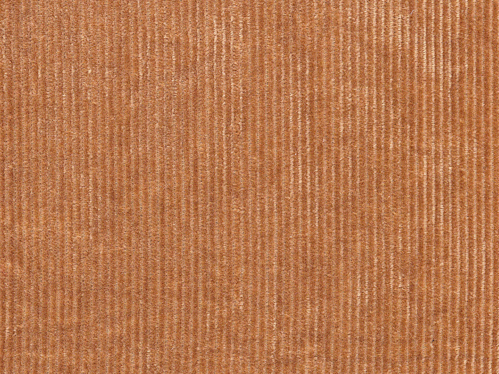 Arte Lush Tinneroy - 29501