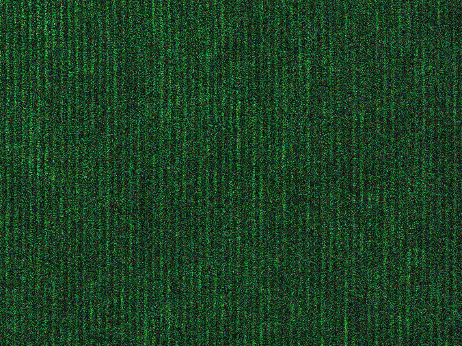 Arte Lush Tinneroy - 29502