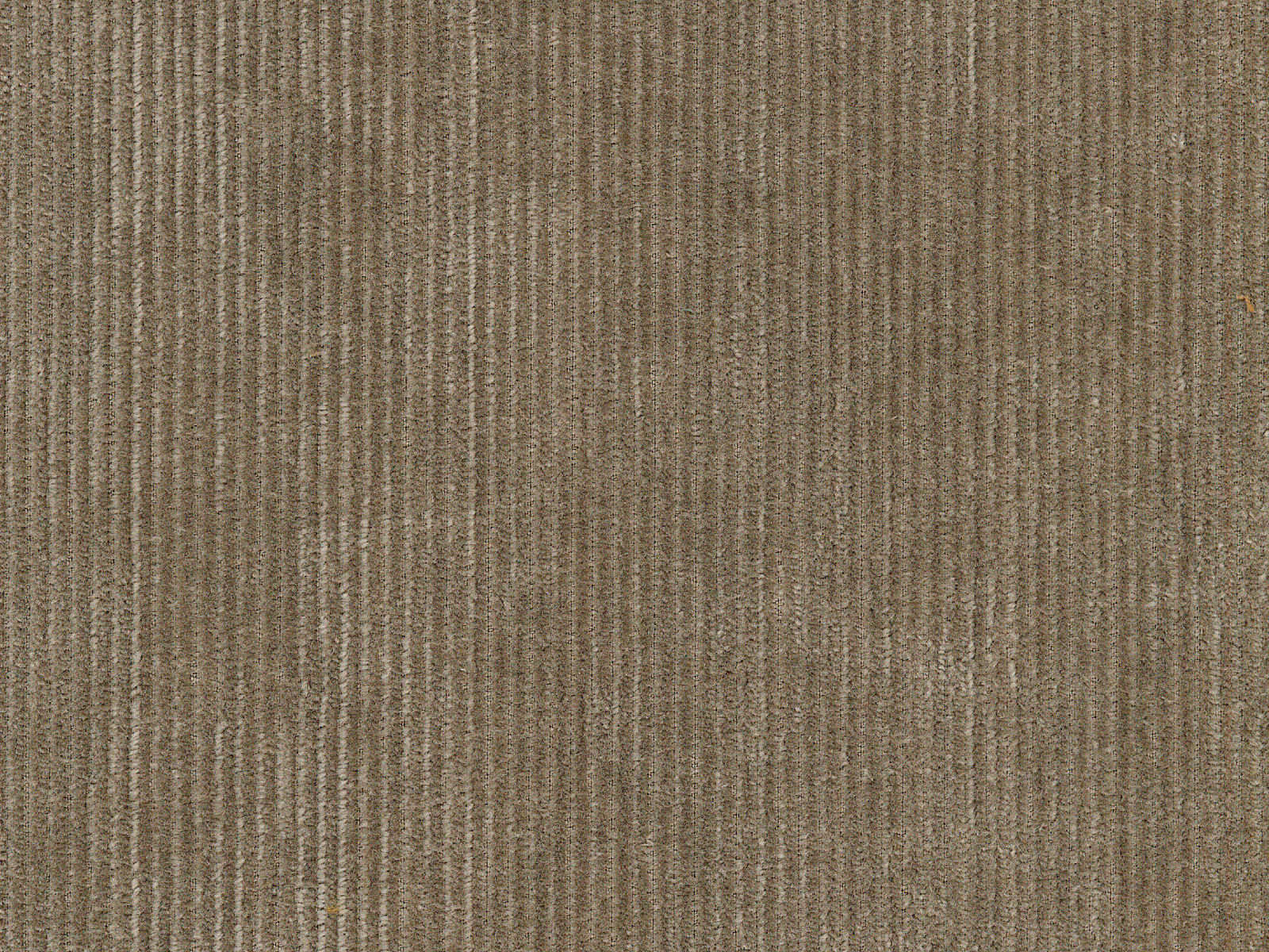 Arte Lush Tinneroy - 29505