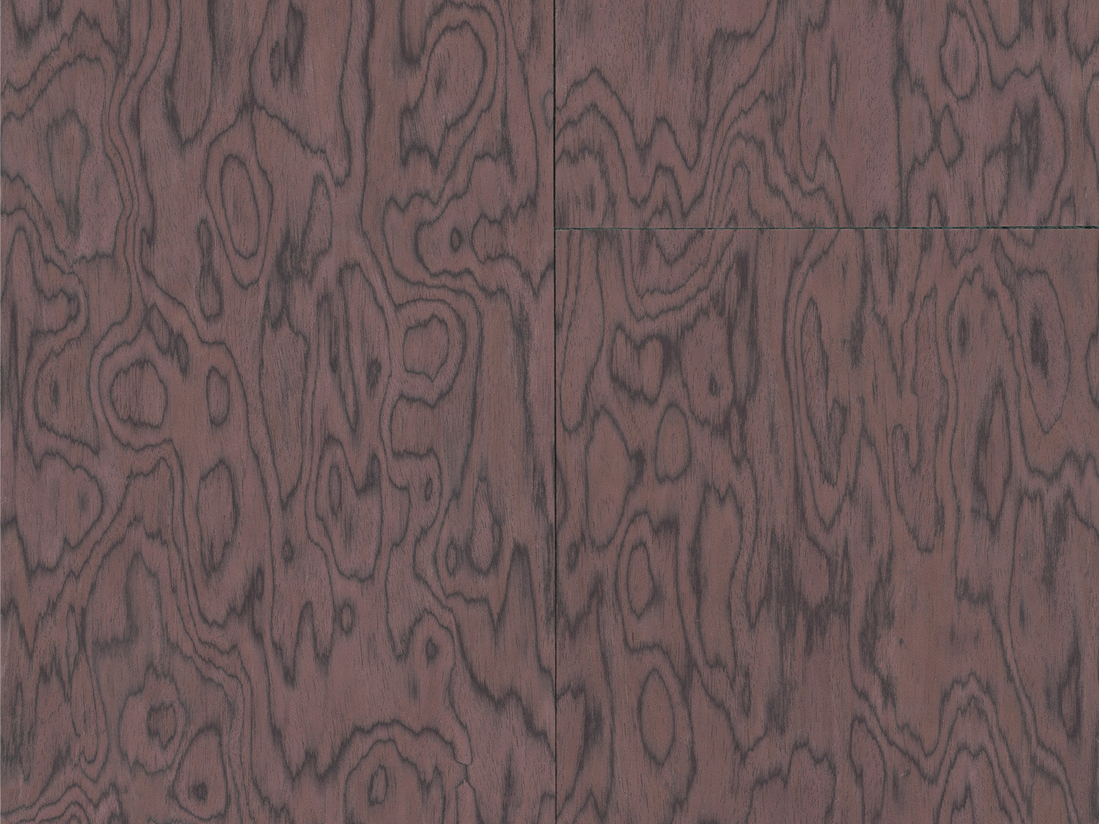 Arte Emblème Coti - 30803