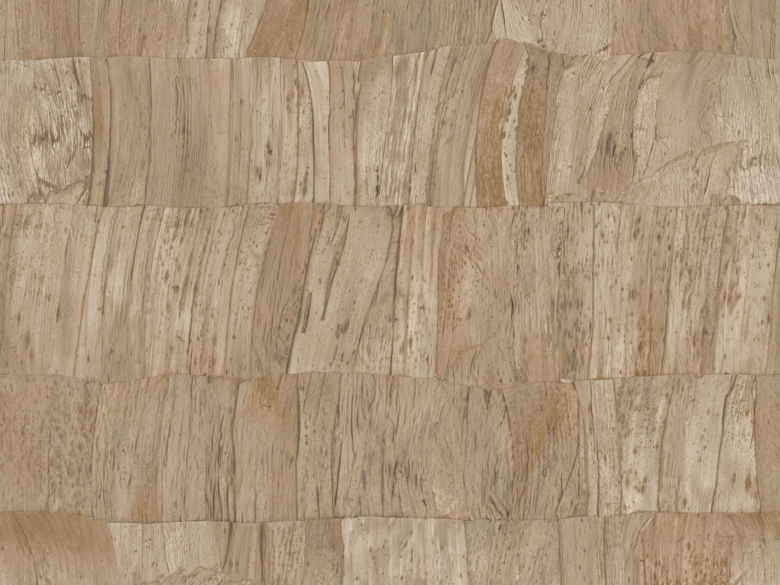 Arte Selva Capas - 34300