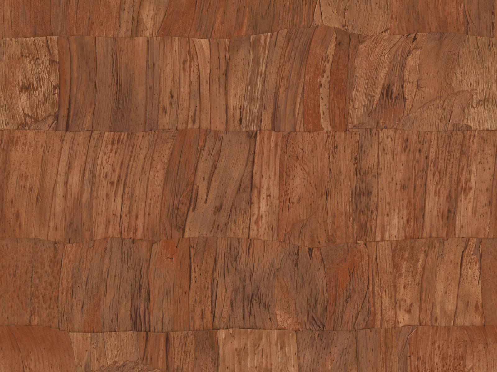 Arte Selva Capas - 34302