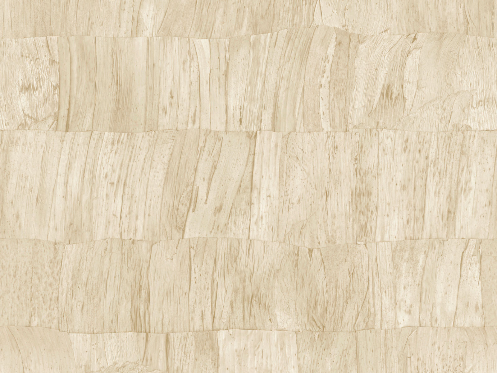 Arte Selva Capas - 34306