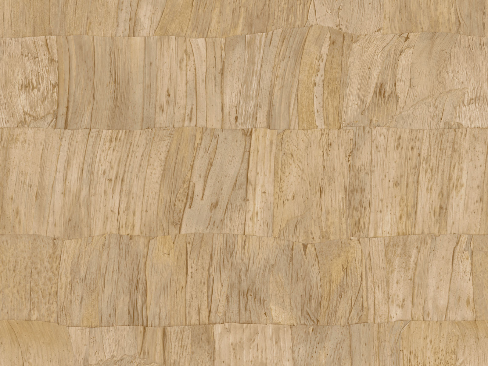 Arte Selva Capas - 34307