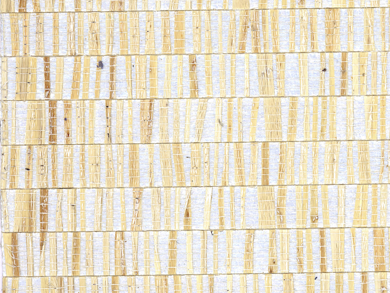 Arte All Naturals Fringe - 40320A