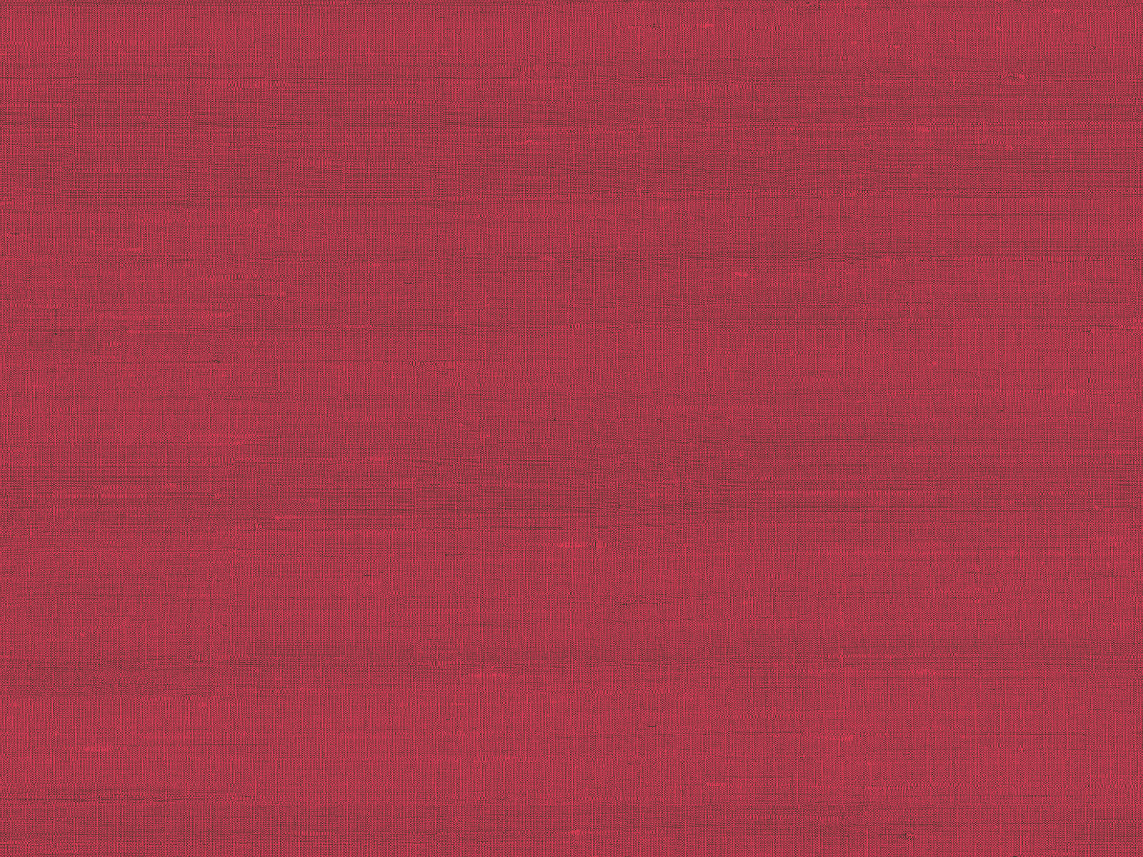 Arte Paleo Latus - 50502