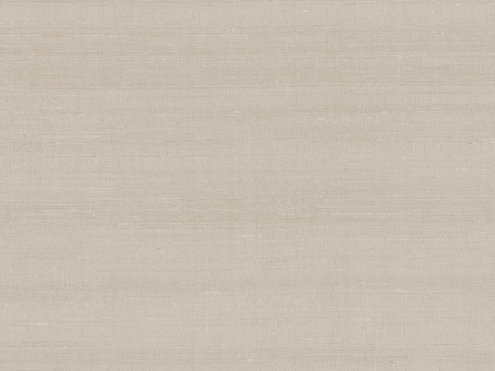 Arte Paleo Latus - 50506