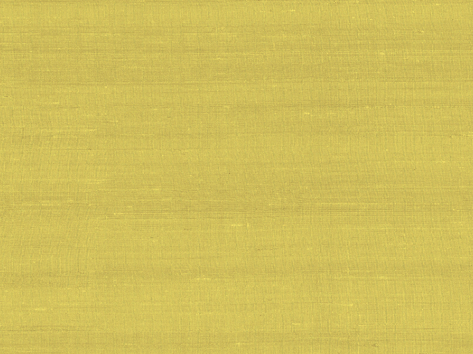 Arte Paleo Latus - 50507