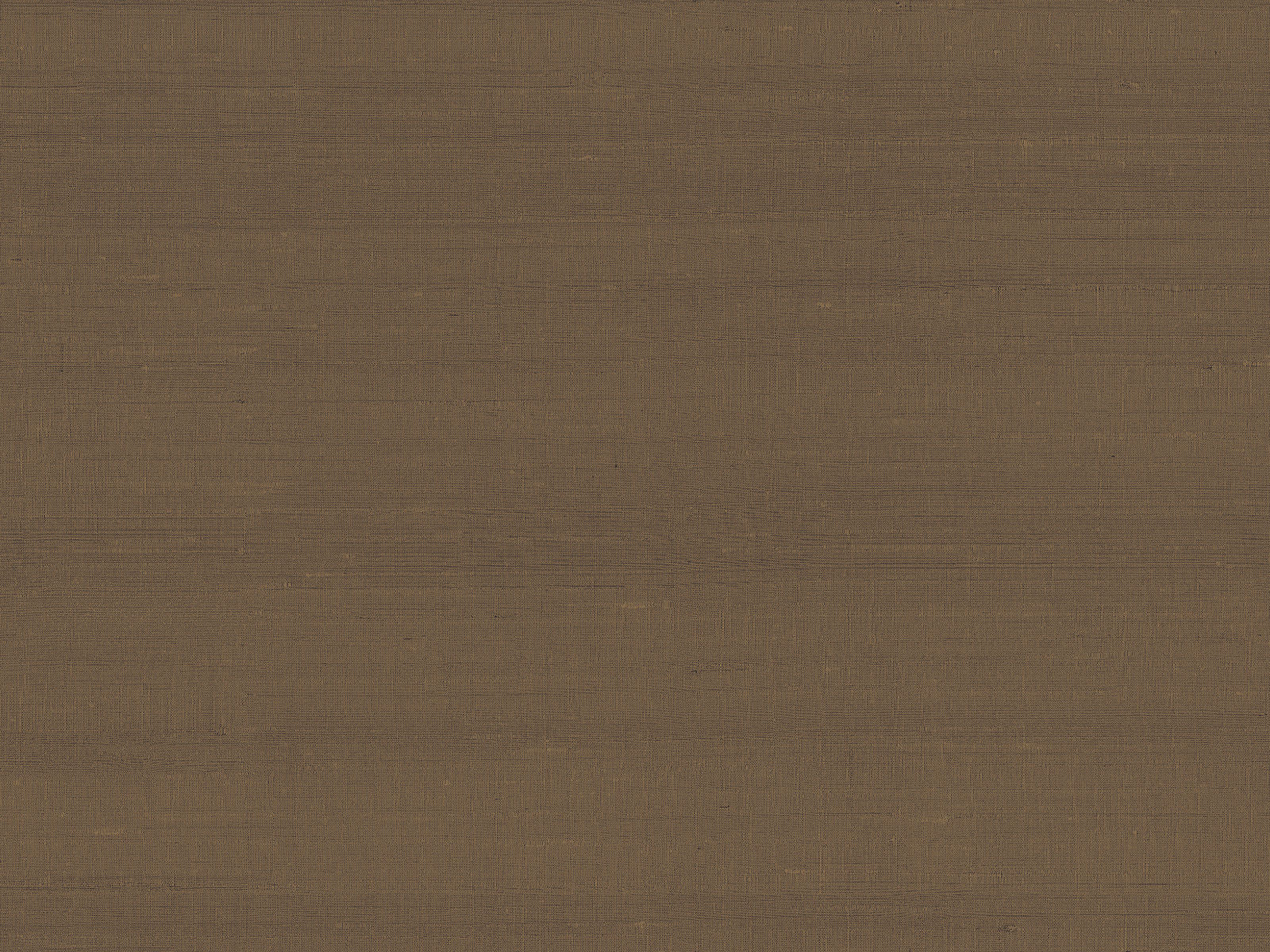 Arte Paleo Latus - 50508