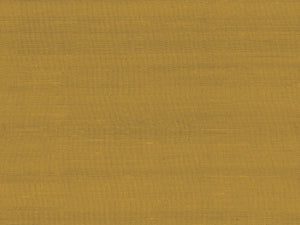 Arte Paleo Latus - 50509