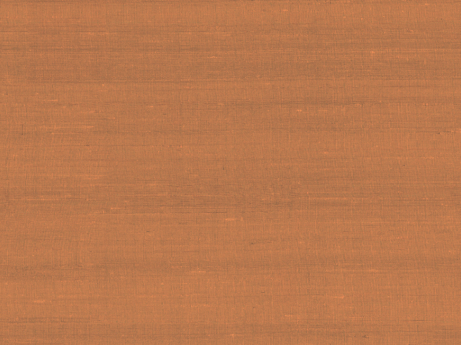 Arte Paleo Latus - 50514