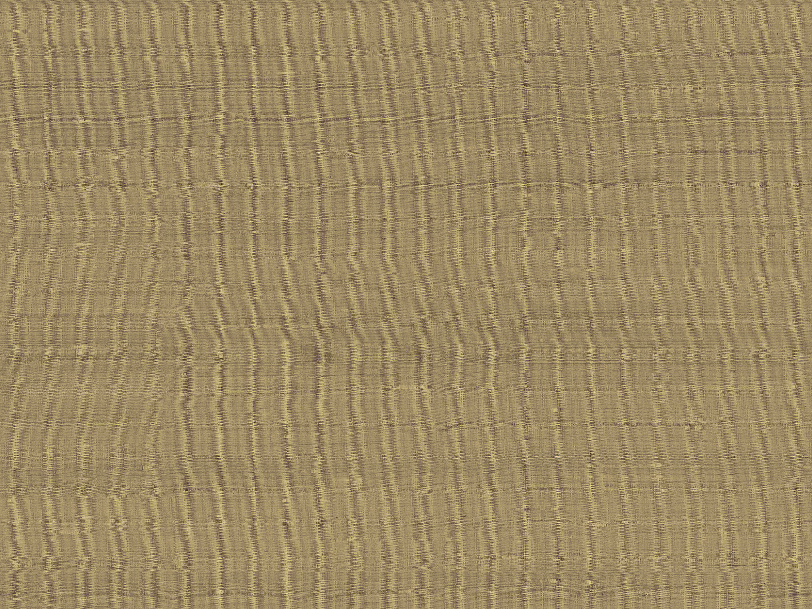 Arte Paleo Latus - 50515