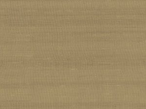 Arte Paleo Latus - 50515