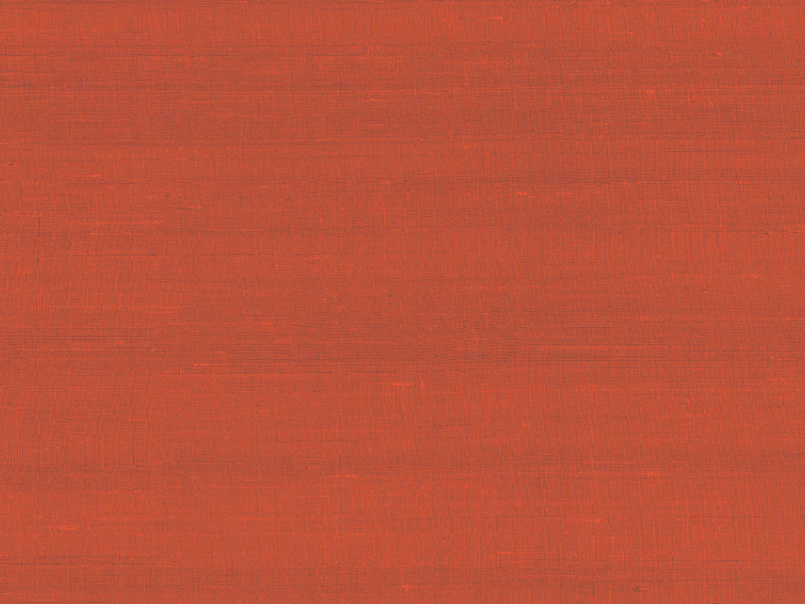 Arte Paleo Latus - 50517