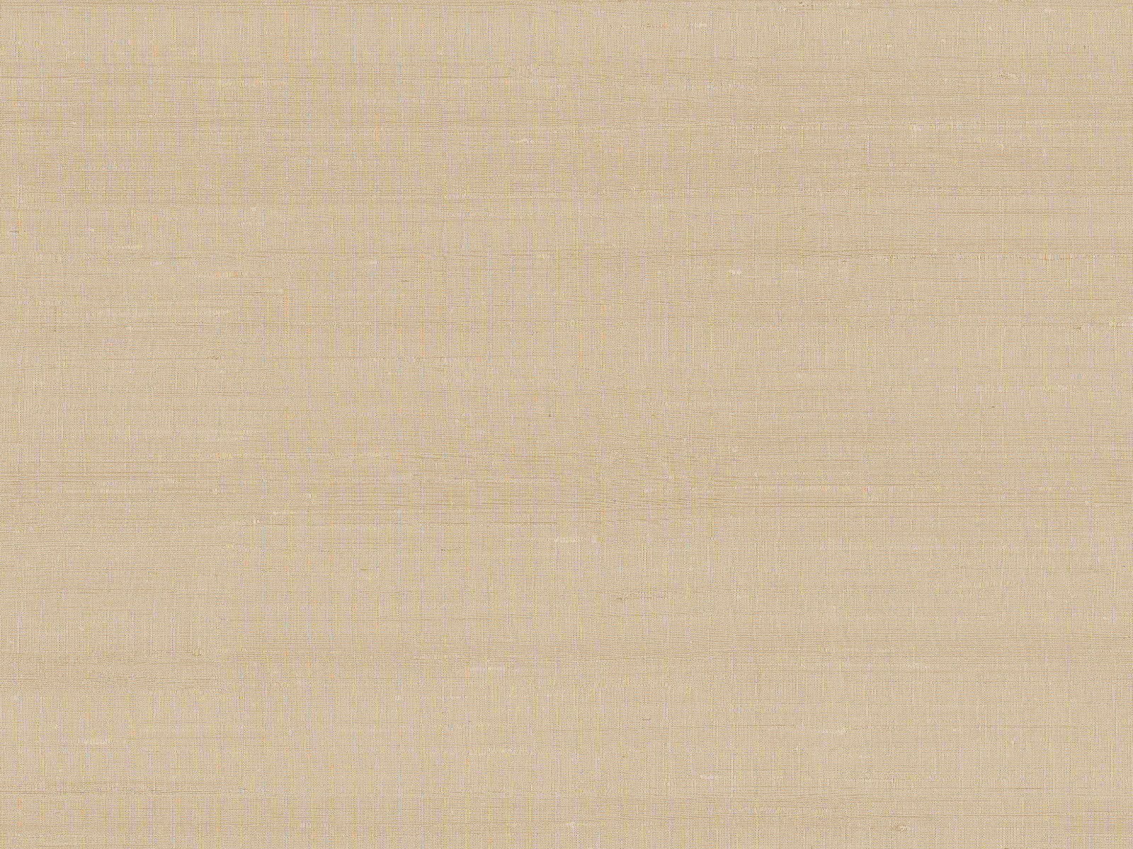 Arte Paleo Latus - 50518