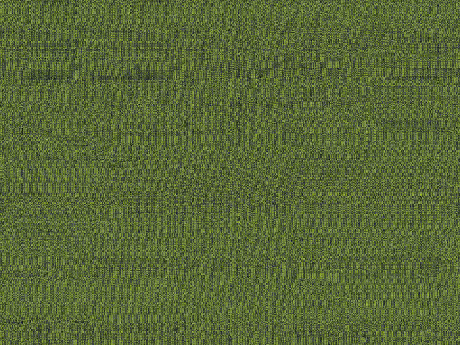 Arte Paleo Latus - 50519