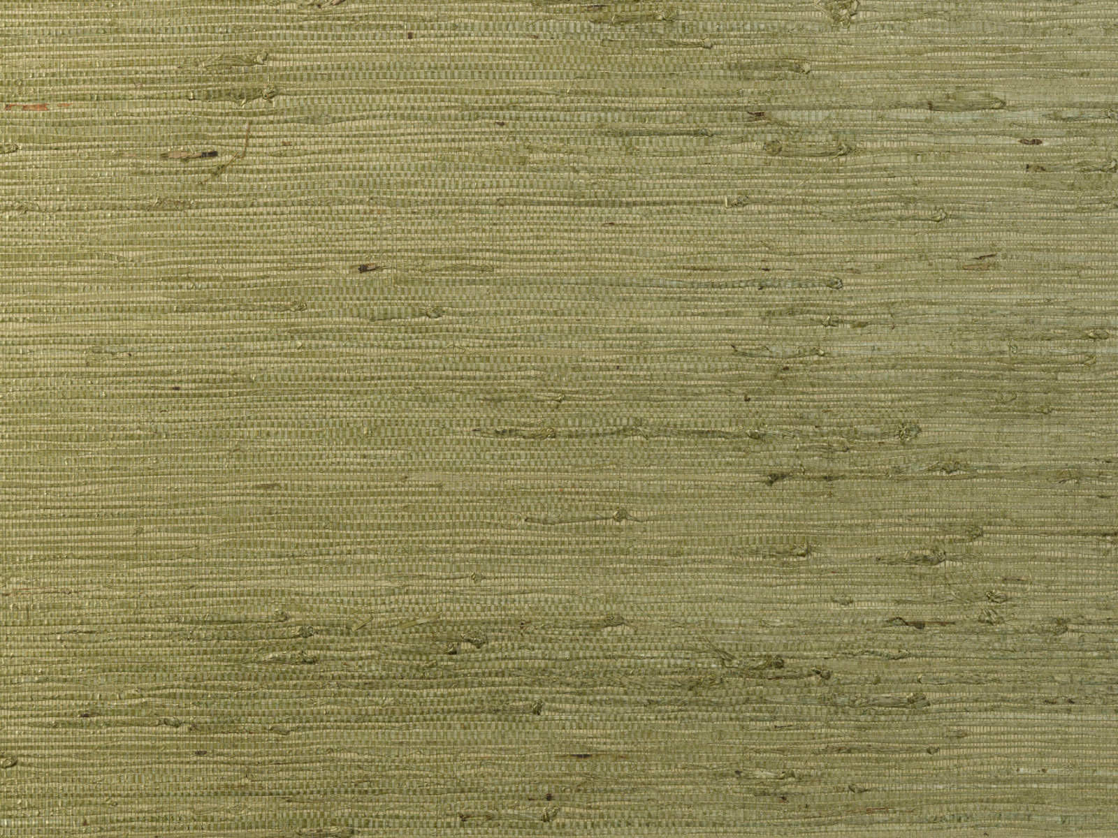 Arte Osmanthus Kudzu - 54530