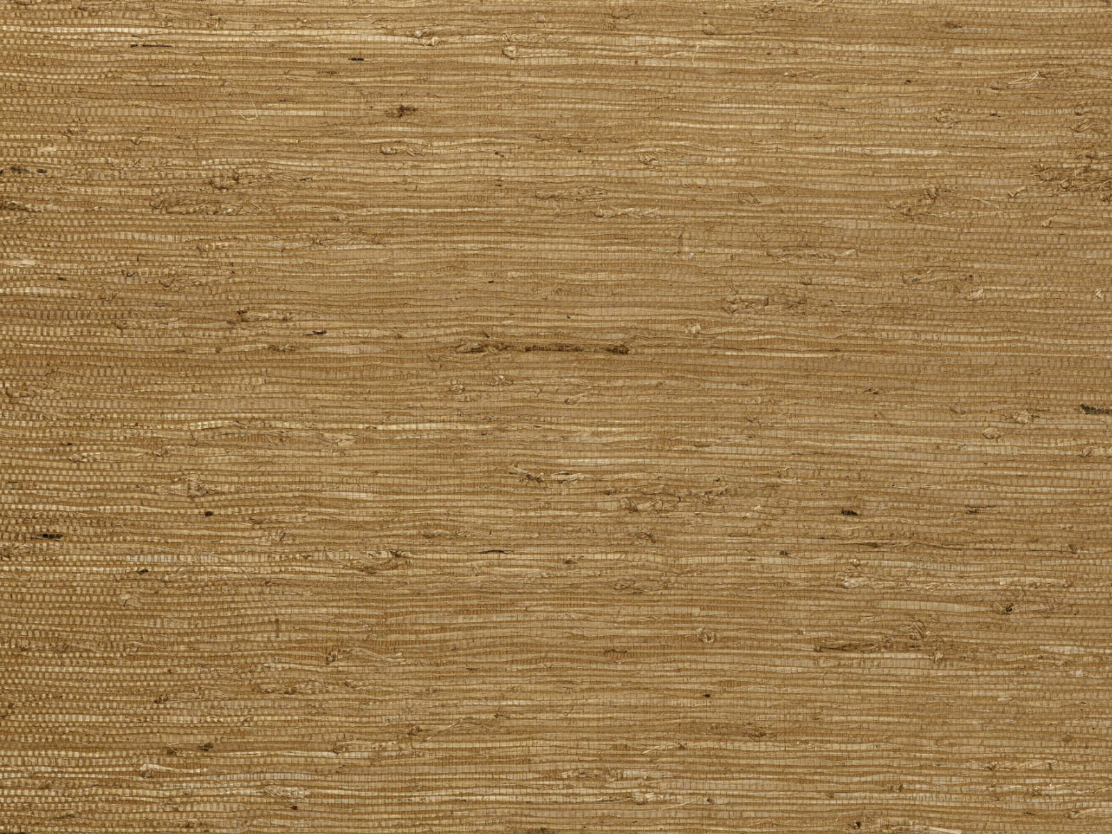 Arte Osmanthus Kudzu - 54532