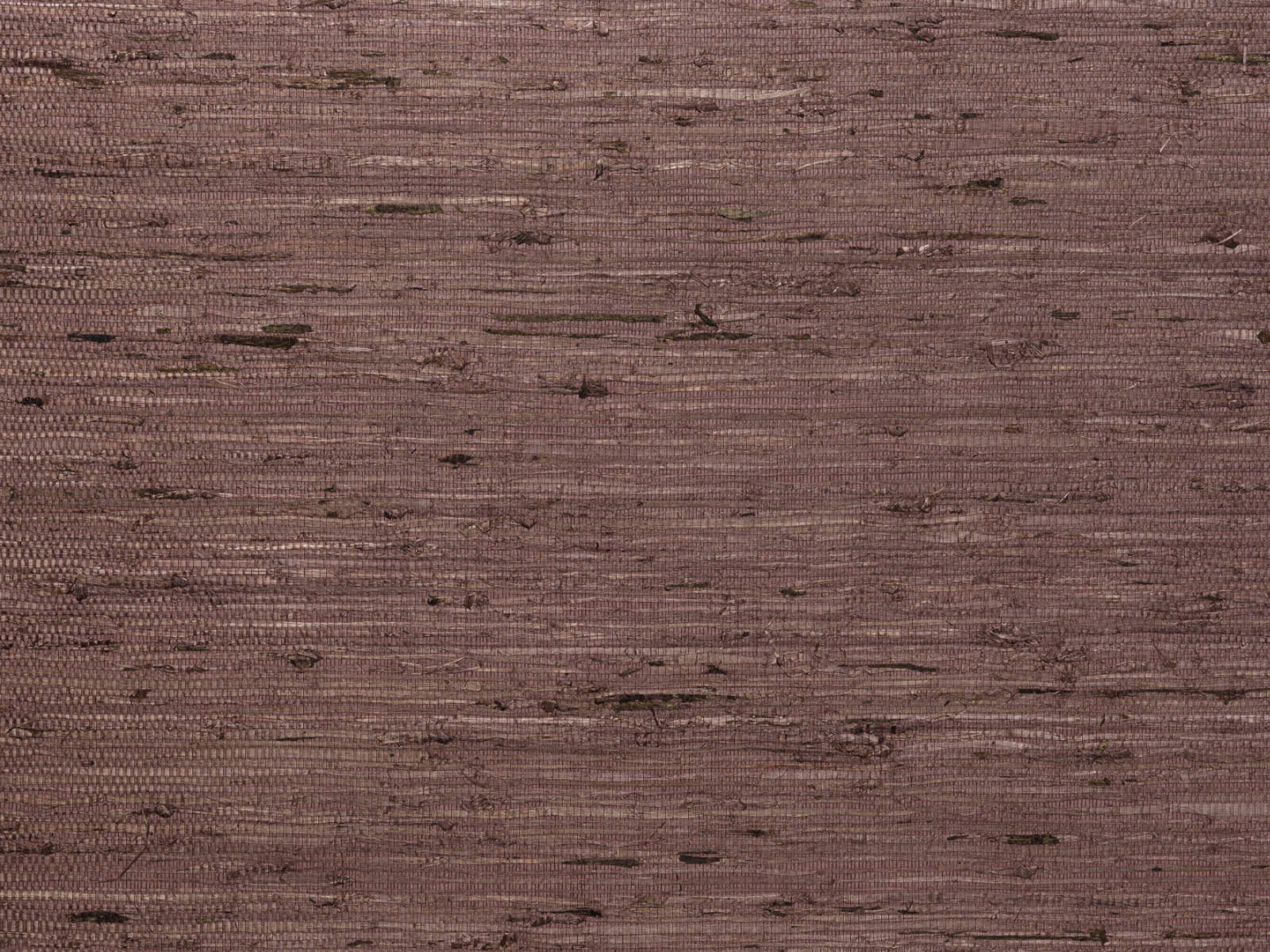 Arte Osmanthus Kudzu - 54535