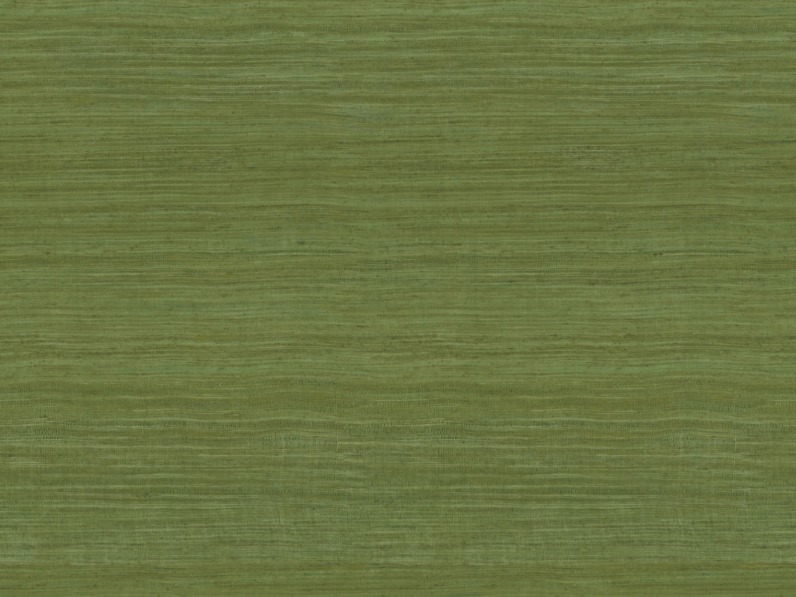 Arte Expedition Tasar - 72020