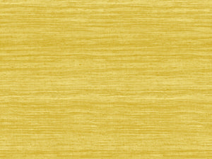 Arte Textura Tasar - 72029A