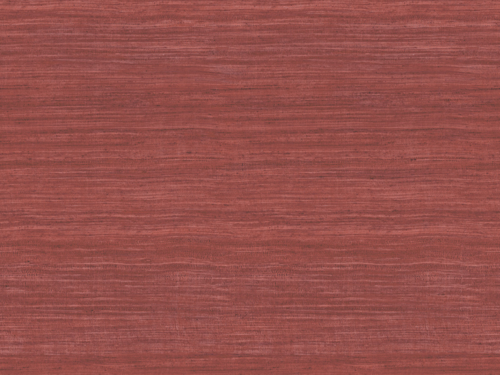 Arte Expedition Tasar - 72030