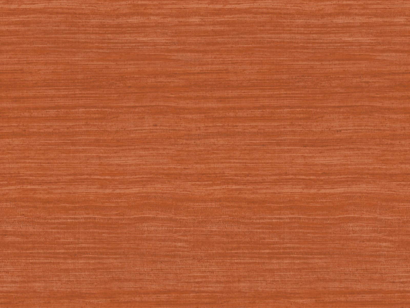 Arte Expedition Tasar - 72036