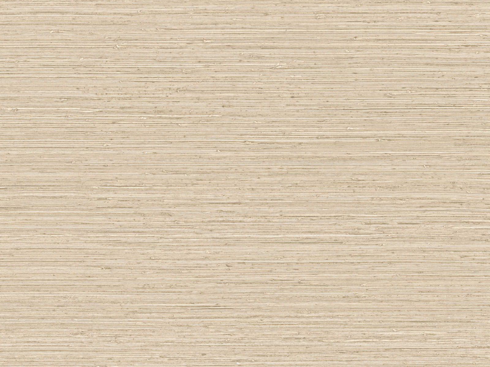 Arte Pampas Matiz - 73521