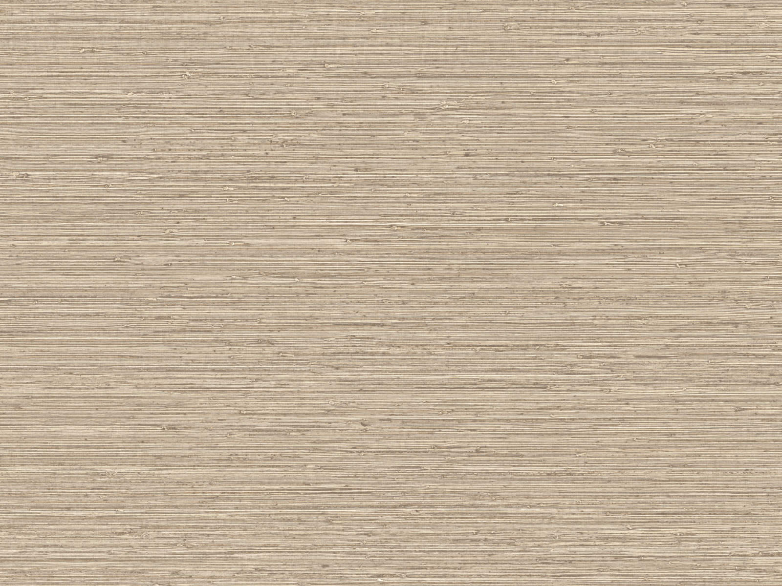 Arte Pampas Matiz - 73522