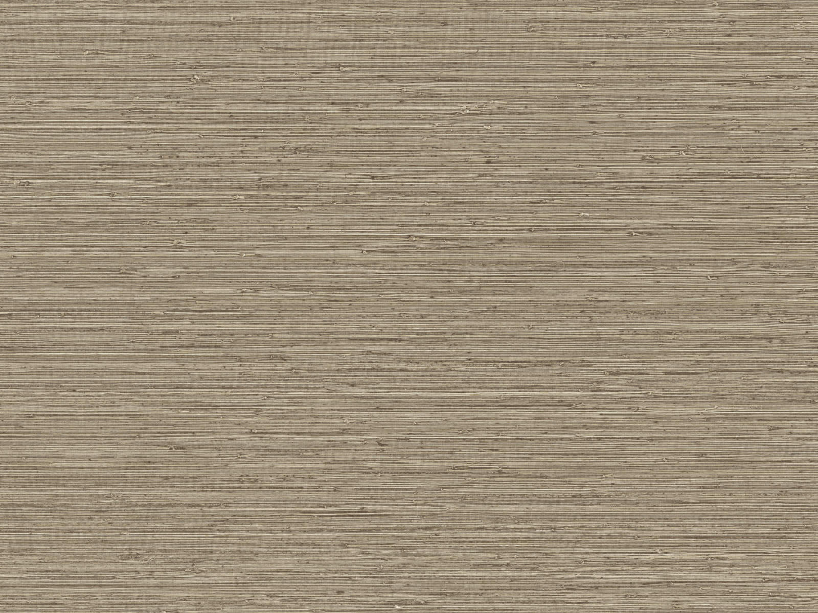 Arte Pampas Matiz - 73523