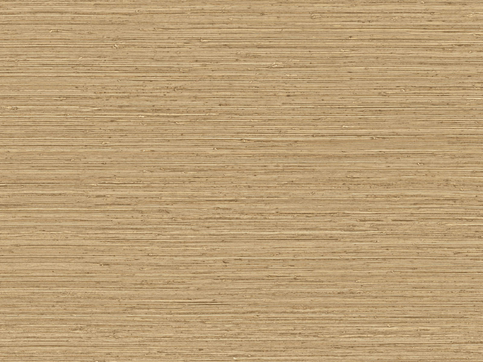 Arte Pampas Matiz - 73525