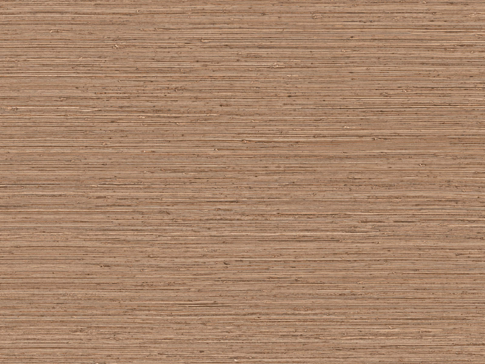 Arte Pampas Matiz - 73526