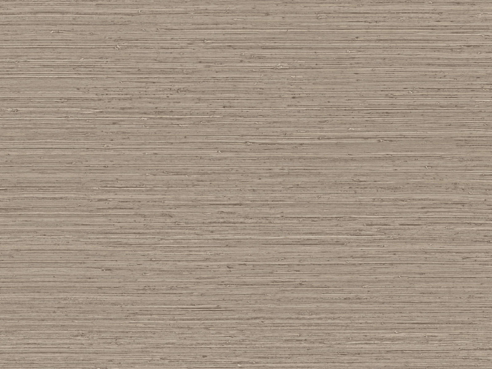 Arte Pampas Matiz - 73527