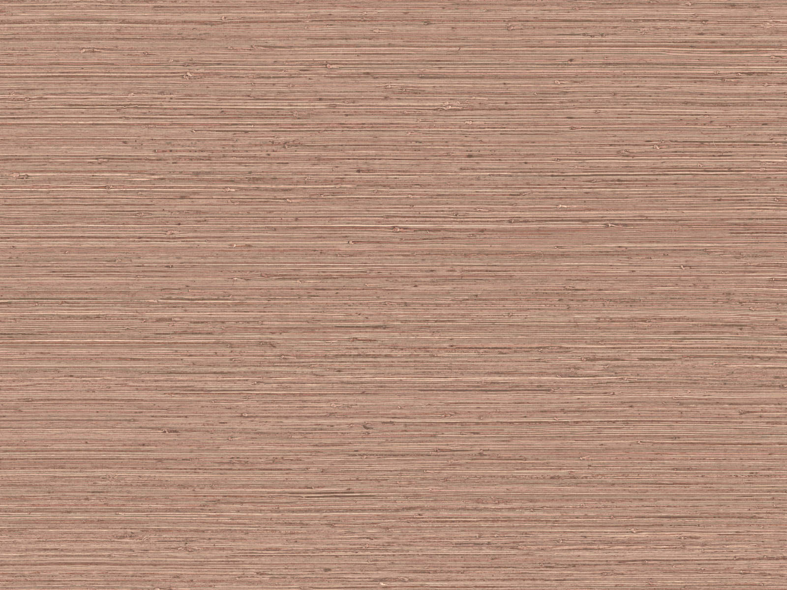 Arte Pampas Matiz - 73528