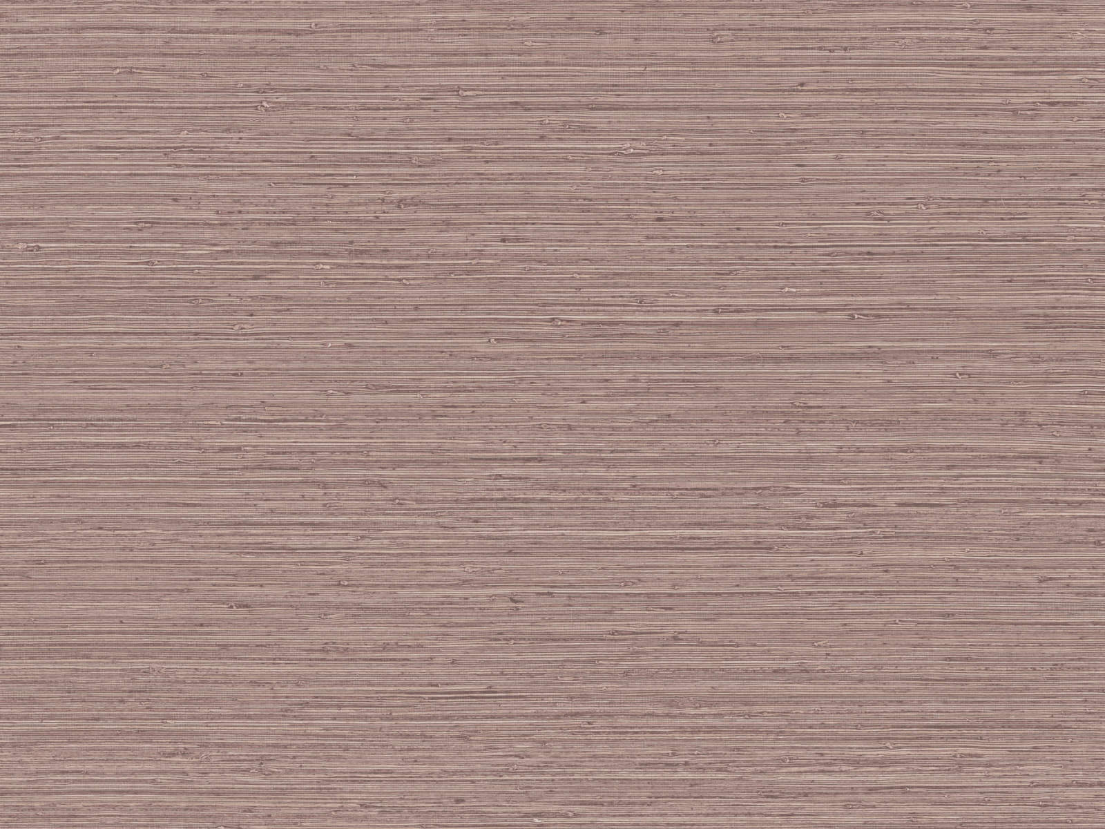 Arte Pampas Matiz - 73529