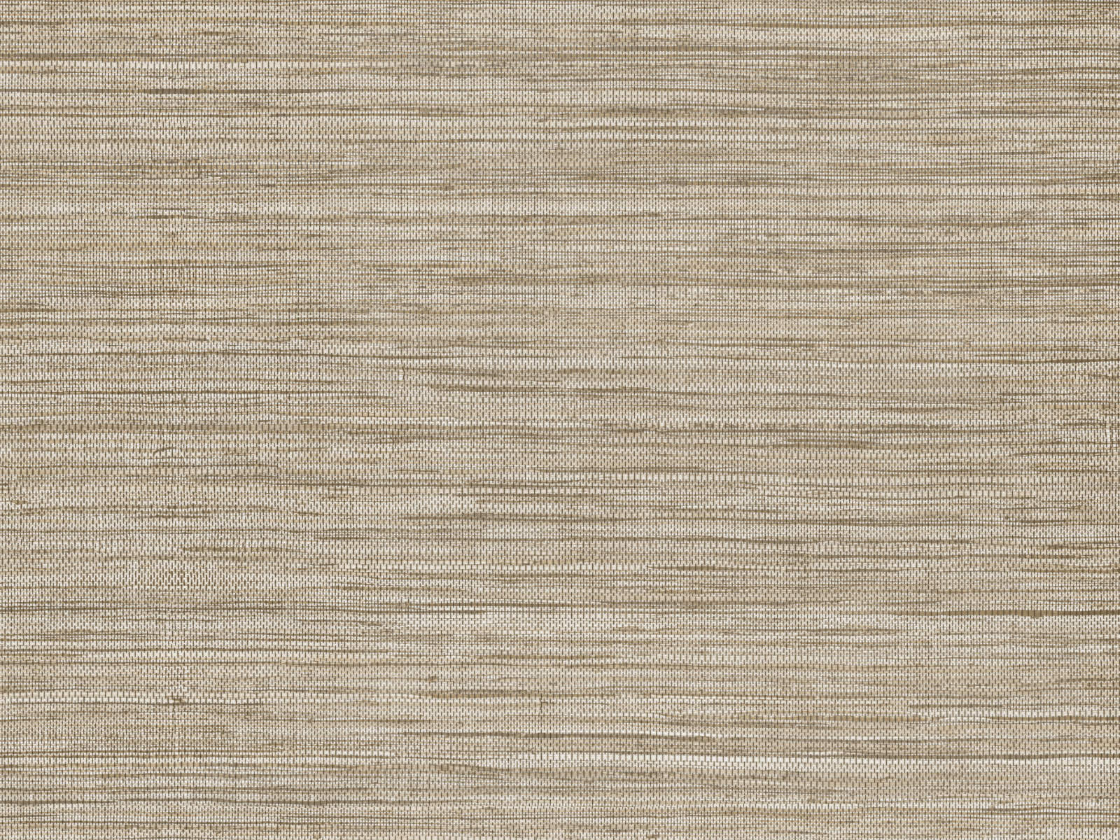 Arte Pampas Sombra - 73542