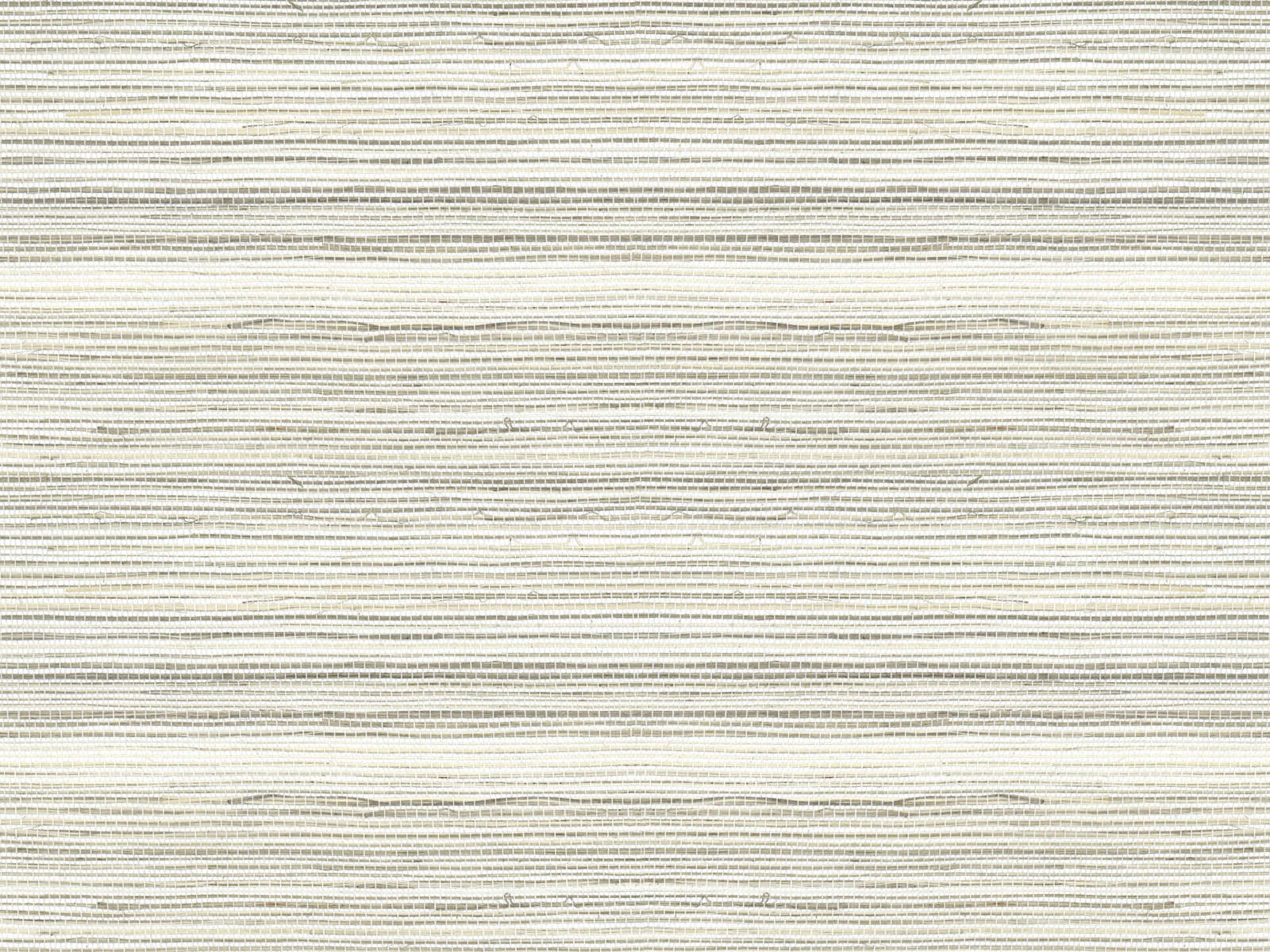 Arte Oculaire Line - 80704