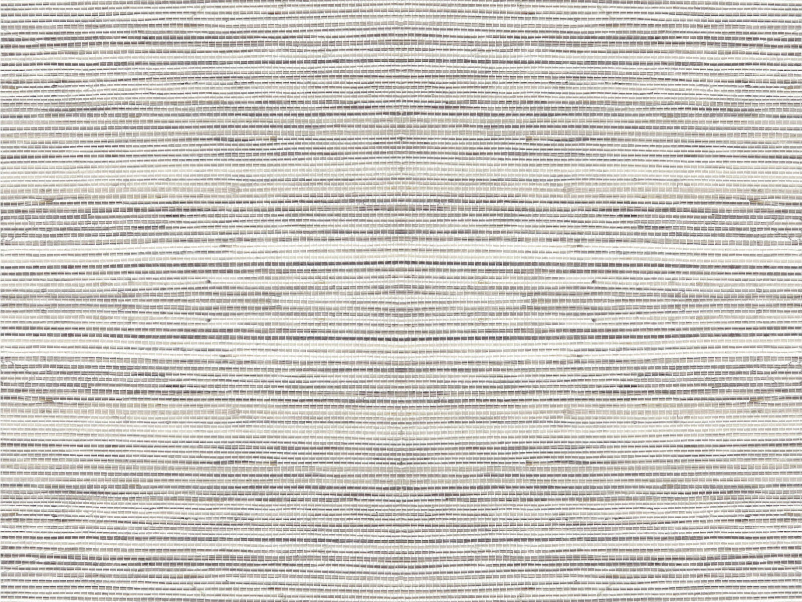 Arte Oculaire Line - 80711