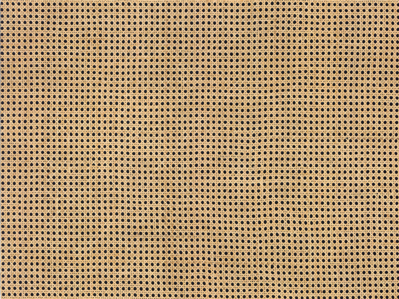 Arte All Naturals Rattan - 85541A