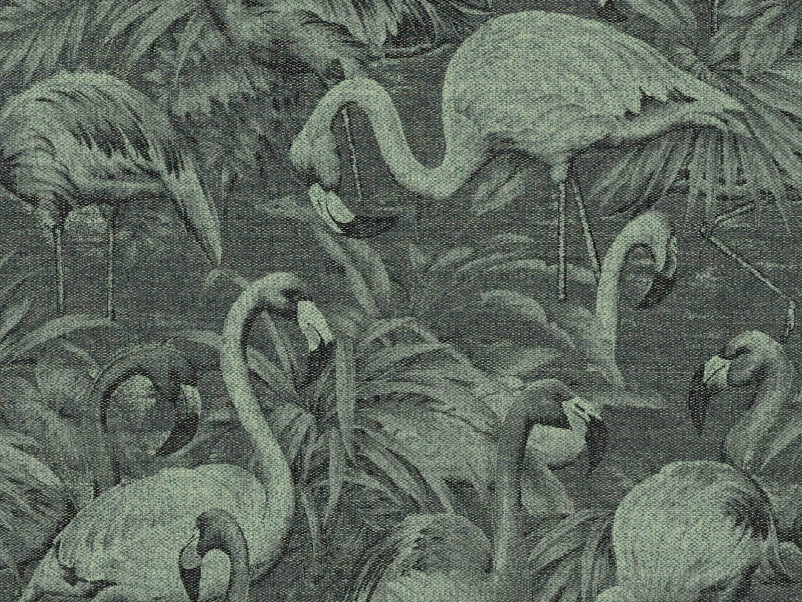 Arte Décors & Panoramiques Flamencos Andinos - 97610