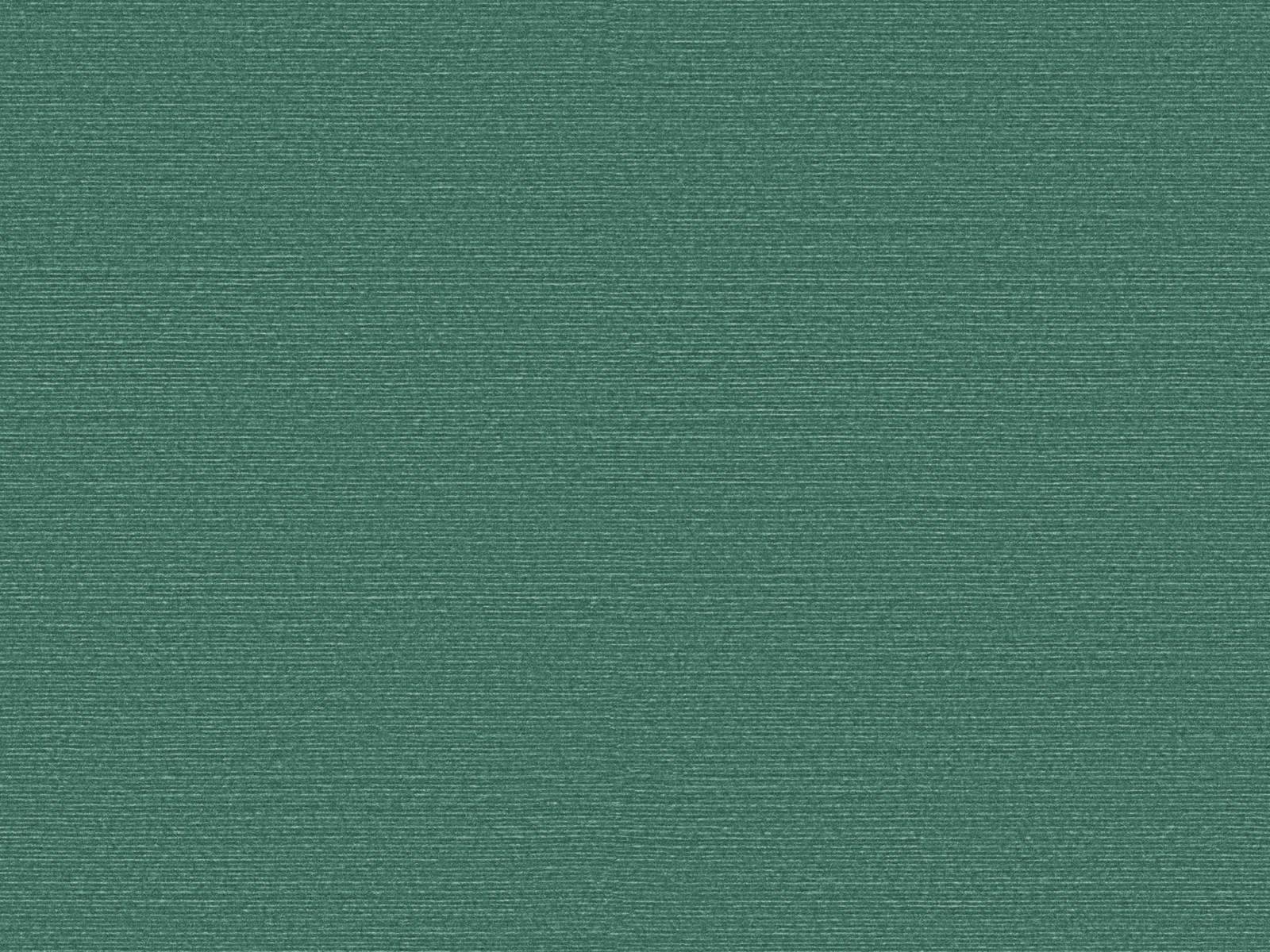 Arte Birds of Paradise Silky - BOP315