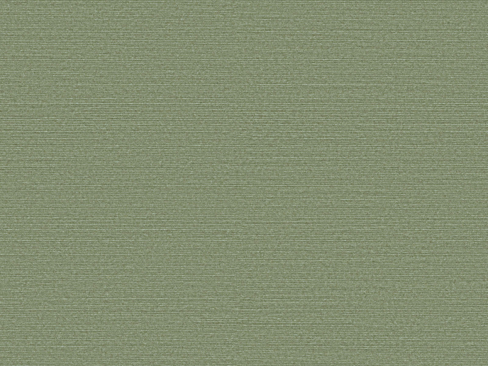 Arte Birds of Paradise Silky - BOP316