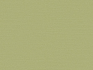 Arte Birds of Paradise Silky - BOP317
