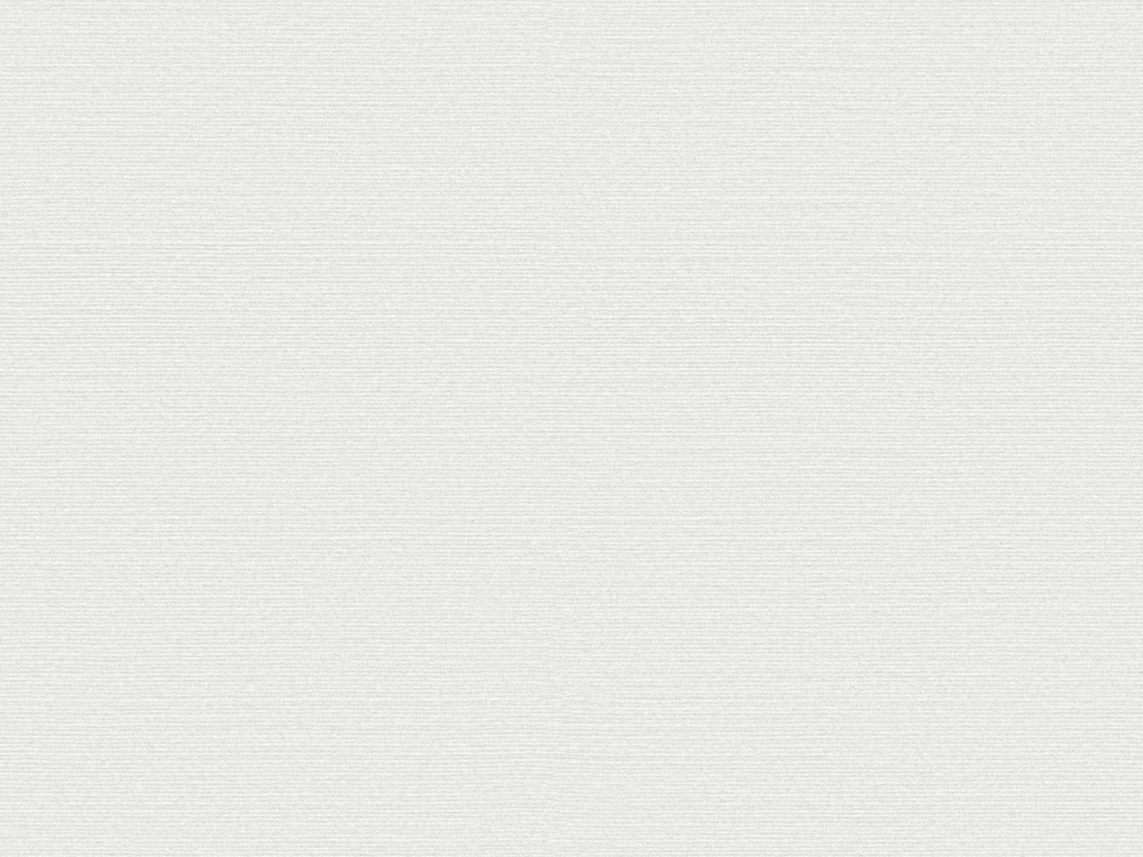 Arte Birds of Paradise Silky - BOP323