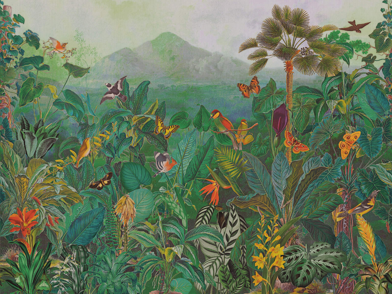 Arte Birds of Paradise The Tropics - Panoramique - BOP401