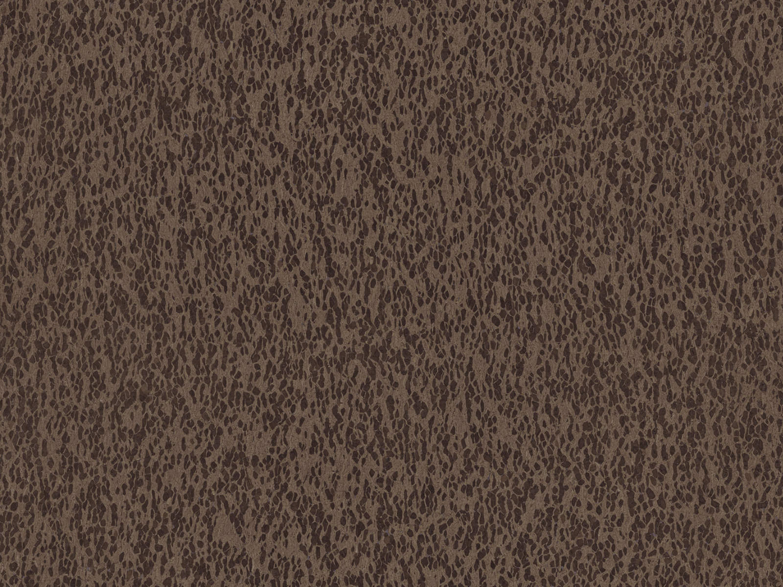 Arte Casca Motion - CAS32