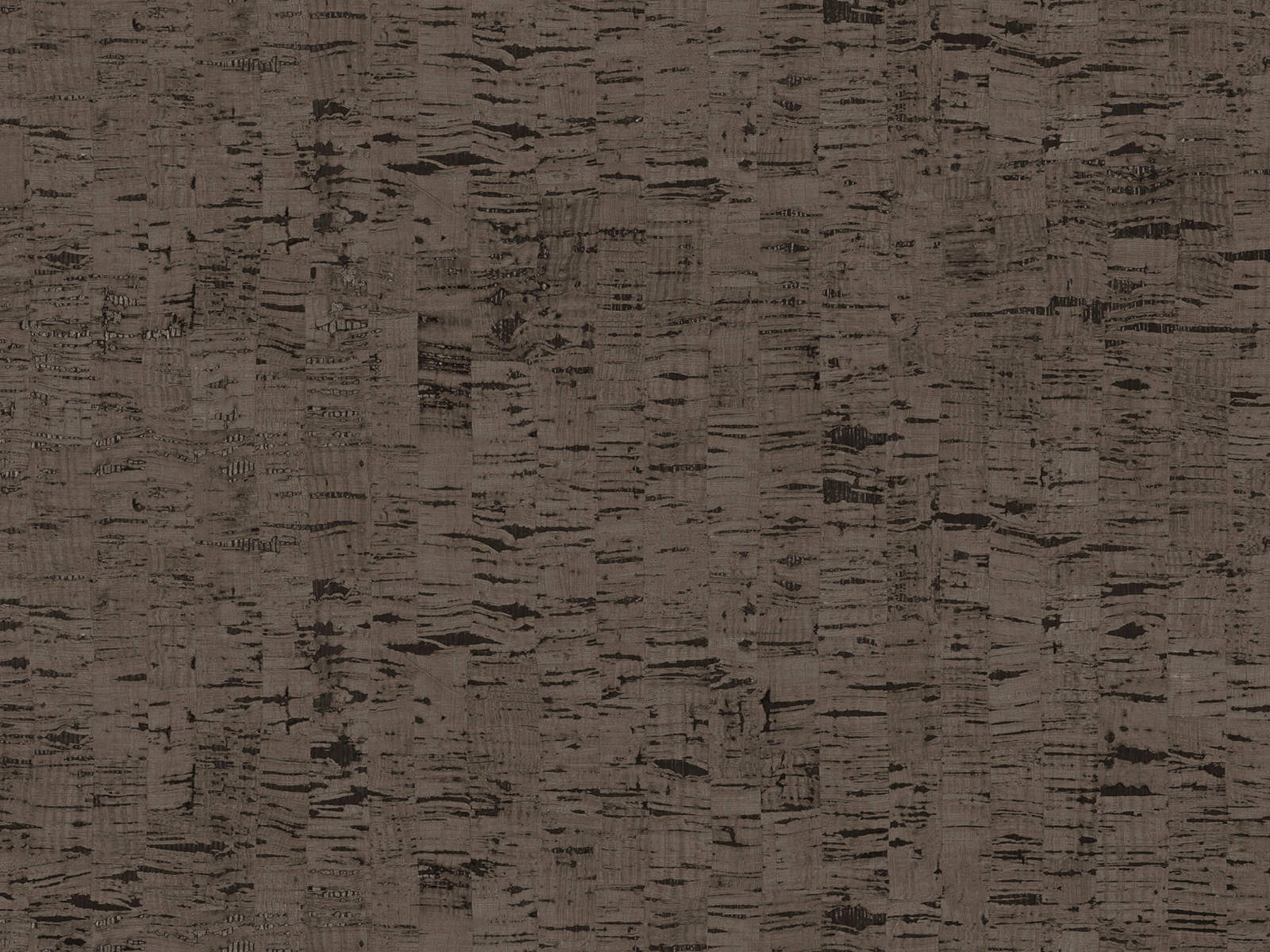 Arte Casca Calligraphy - CAS88